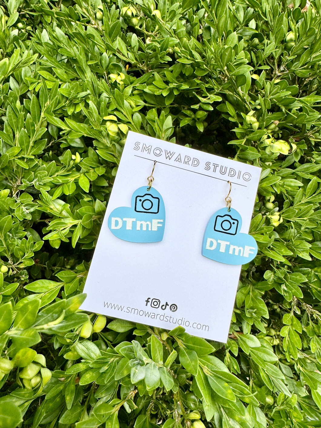 DTmF (Debi tirar mas fotos)