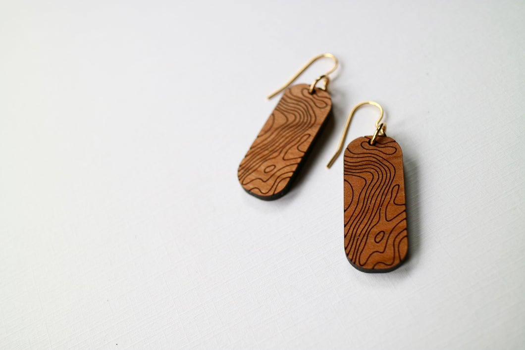 wood topography earrings