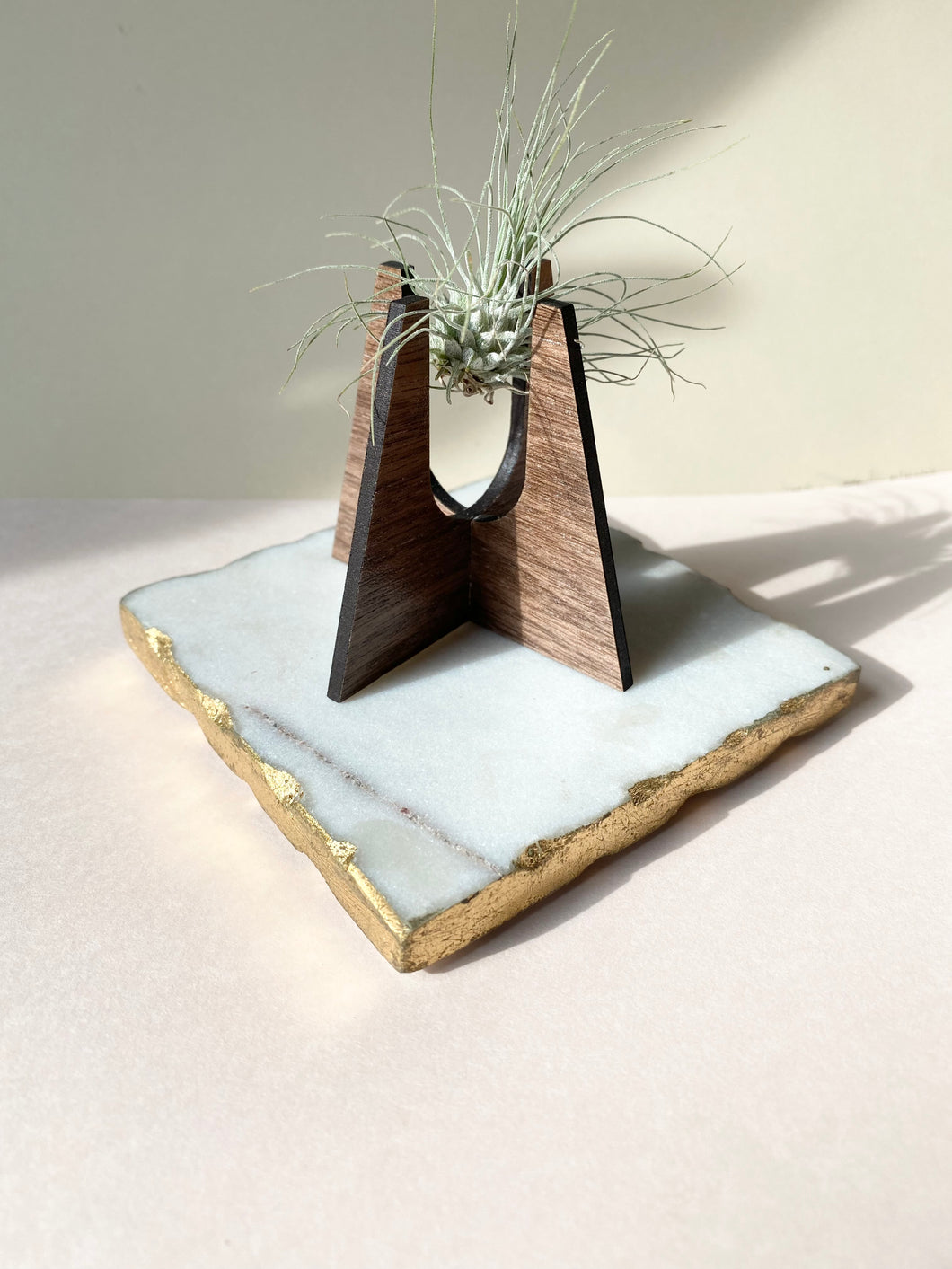 Walnut Triangle Air Plant Stand (Plant not included)