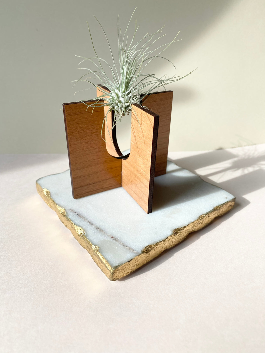 Cherry Square Air Plant Stand (Plant not included)