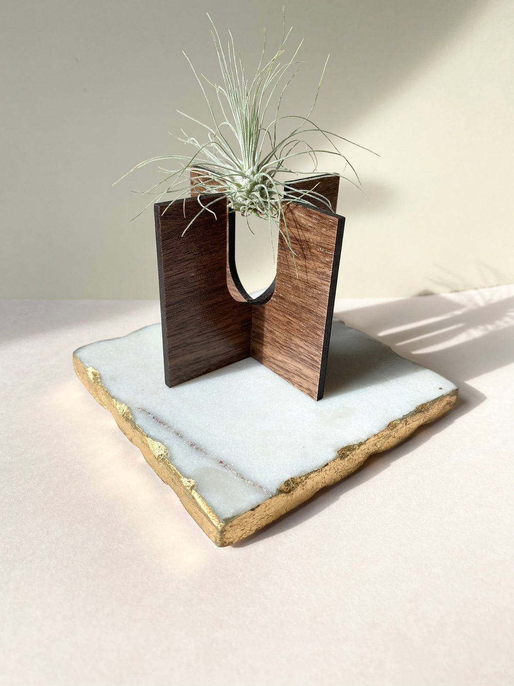 Walnut Square Air Plant Stand (Plant not included)