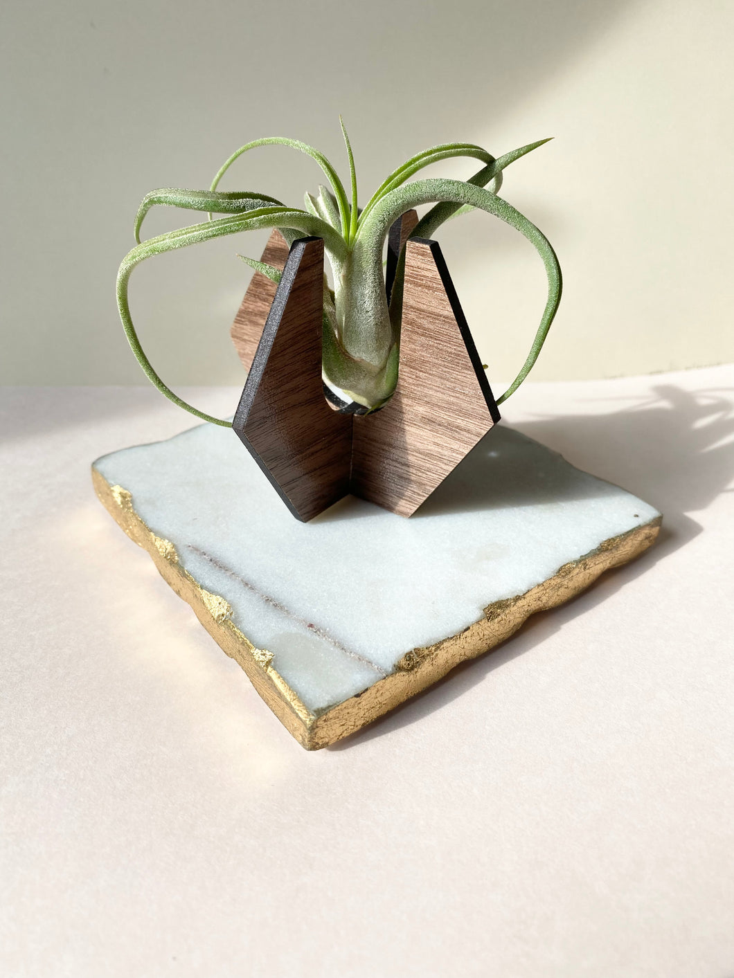 air plant shelf Walnut Hexagon Air Plant Stand (Plant not included) – Smoward Studio